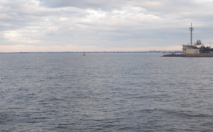 「何もしない」が正解！ 東京湾バチコンアジングでアジ115匹と入れ食い堪能【千葉・栄宝丸】