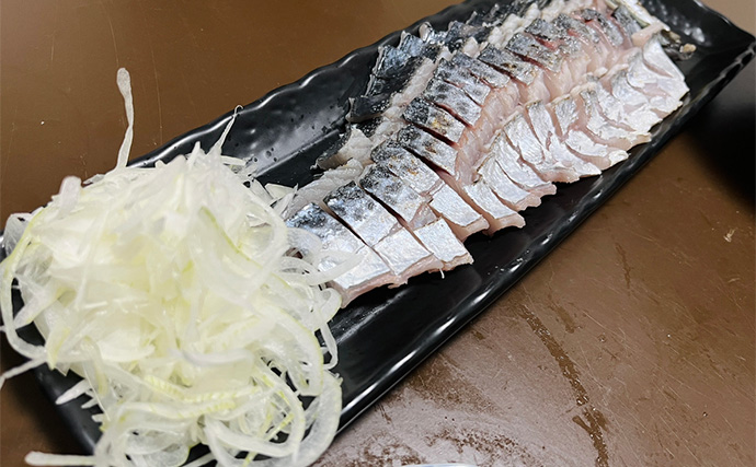 波止でのショアジギング釣行で50cm級肉厚サゴシをキャッチ！【大阪・泉南】