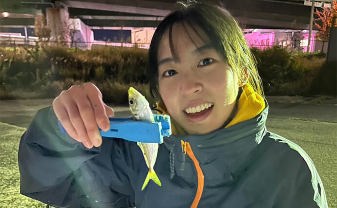 「彼女の釣り才能が開花？」波止アジング釣行でアジが連発【泉佐野】