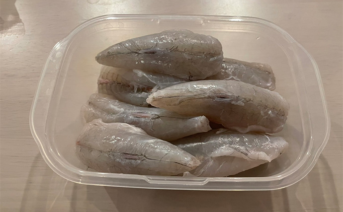 初めてのカットウ釣りでフグ22匹をキャッチ【愛知・おざき丸】1発でハマる面白さ！