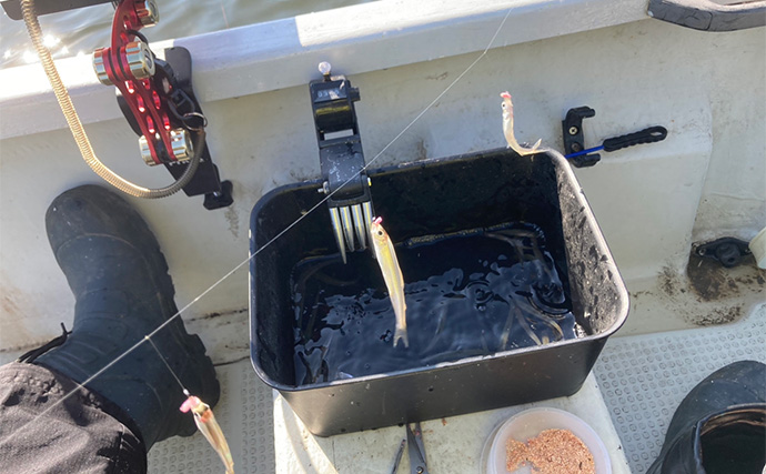 「シーズン序盤から絶好調！」入鹿池でのワカサギ釣りで528匹と豊漁【愛知】