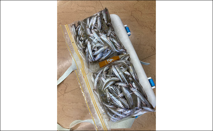 「シーズン序盤から絶好調！」入鹿池でのワカサギ釣りで528匹と豊漁【愛知】