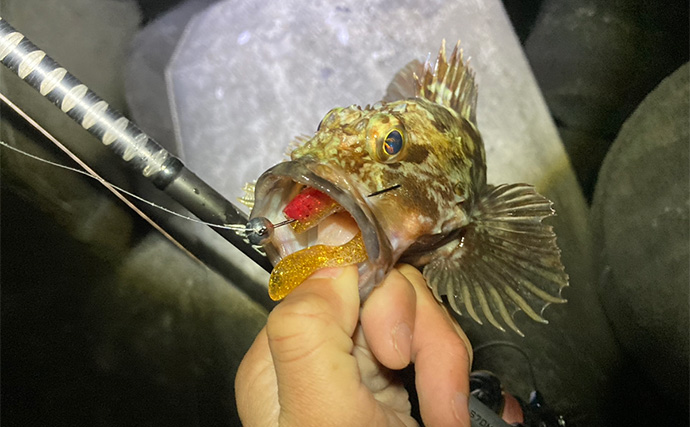 消波ブロック帯でライトルアー釣行で26cm良型カサゴをキャッチ！【三重】