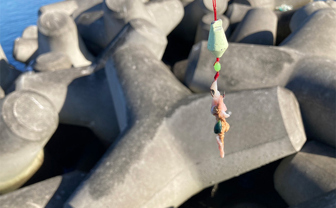 穴釣りで26cm頭に良型カサゴを連打！【三重】釣った魚の内蔵をエサにしたら大正解だった