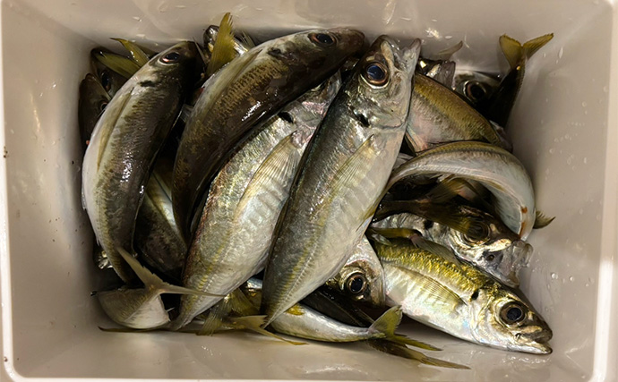 「堤防にいるほぼすべての魚がターゲット」は本当か？　話題のルアー『魚子チク』を使ってみた