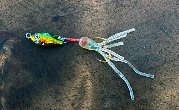 「堤防にいるほぼすべての魚がターゲット」は本当か？　話題のルアー『魚子チク』を使ってみた