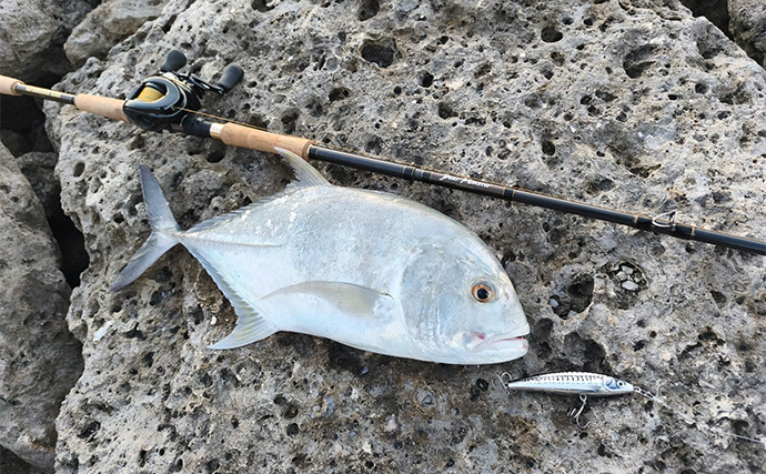陸っぱりルアーフィッシングで人生初のGT（ロウニンアジ）をキャッチ！【沖縄】ナブラを狙い撃ち