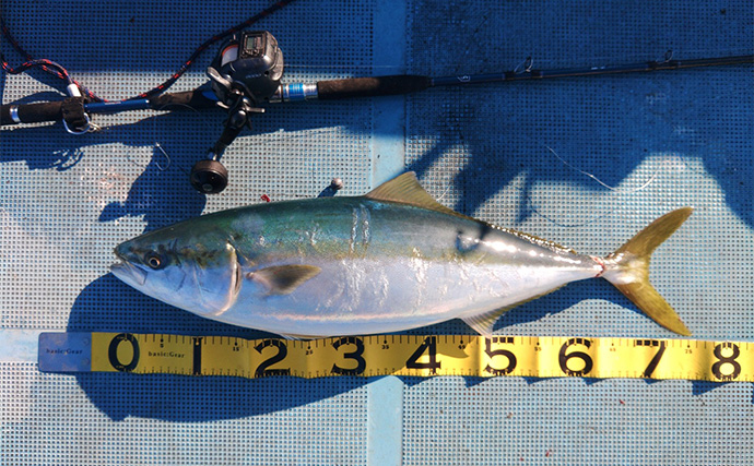 「諦めない心が奇跡を呼んだ！」今が旬の串本カセでメジロ級の寒ブリをキャッチ【大裕丸】