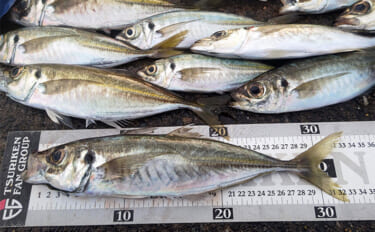 相浜港のサビキ釣りで30cm超えの良型アジが連発！【千葉】フカセ釣りで…