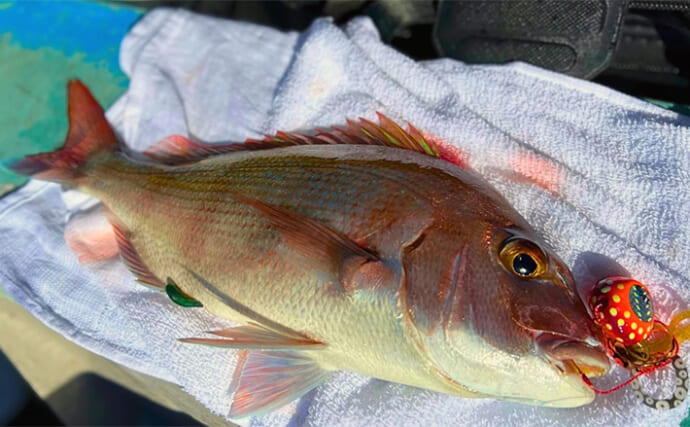 日本海タイラバ＆ティップラン豪華リレー釣りを満喫【新潟】良型マダイに大型アオリイカが浮上！