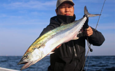 「80cm級浮上！」サワラ専用ロッド『プロトンBC・サワラゲーム』で挑…