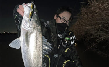 冬の河川でもシーバスは釣れる！ 【狙うべきポイント・条件・注意点を解説…