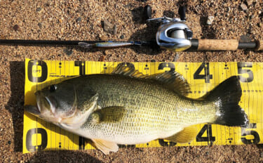 バス釣りのロッドがフォアグリップレス構造になっている理由　長所と短所は…