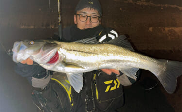 気温1℃「極寒」ナイトシーバスゲームで良型シーバス浮上！　セイゴサイズ…