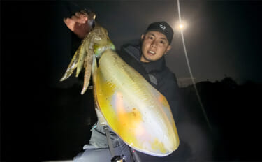 「満月の大潮はアオリイカが釣れる！」ショアのエギング釣行で1300g頭…