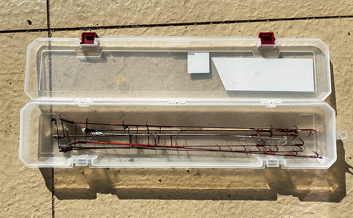 ヤエン釣りで1日中アオリイカがアタリっぱなし！【福井】水中はまだまだシーズン盛期？