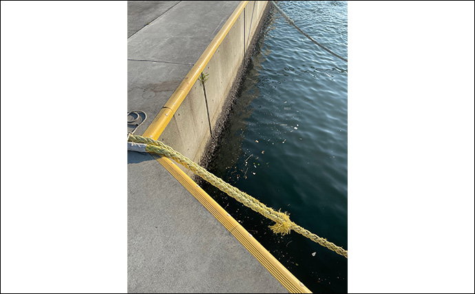 「アジが釣れる場所はココ！」 アジングで重点的に狙うべきポイント5選