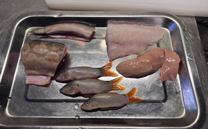 日本で絶滅危惧種の魚「アユモドキ」の仲間をカンボジアで食べてみた