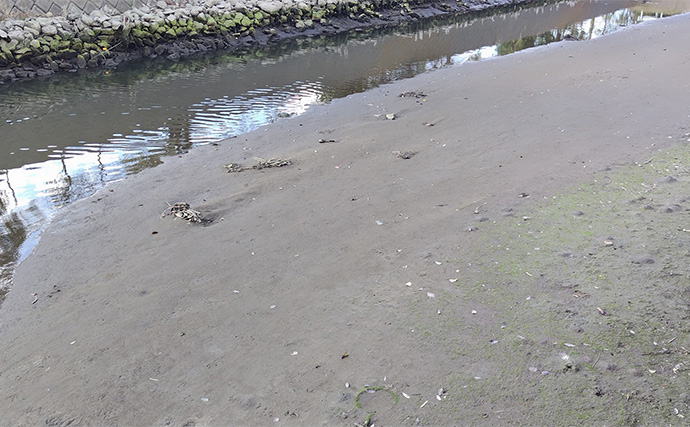 バチ抜けが発生しやすい場所（河川）3選　シーバス用オススメルアーも紹介