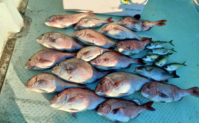 「串本カセ釣りのポテンシャルが炸裂！」 40〜60cmの良型マダイ16匹と大爆釣