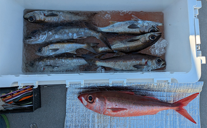 志摩沖の中深海ジギングで良型クロムツが連発！【へいみつ丸】ステイパターンが的中