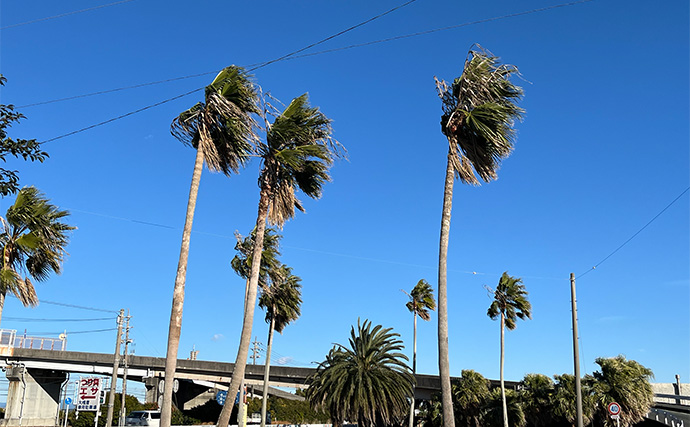 寒波到来＆暴風の浜名湖でダイソージグサビキを投げてみた　ヒイラギ入れ掛かりの謎