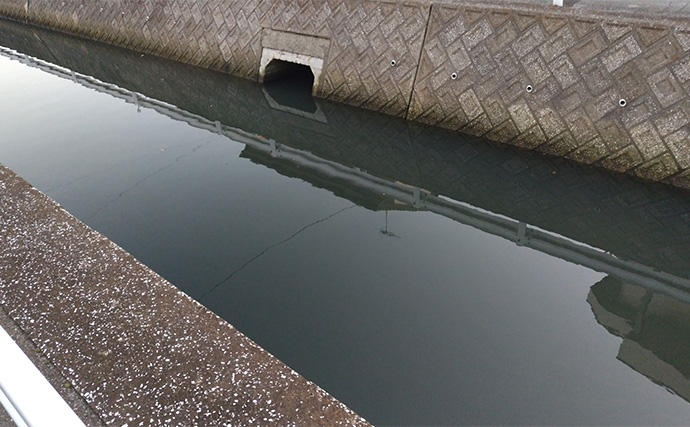 バチ抜けが発生しやすい場所（河川）3選　シーバス用オススメルアーも紹介