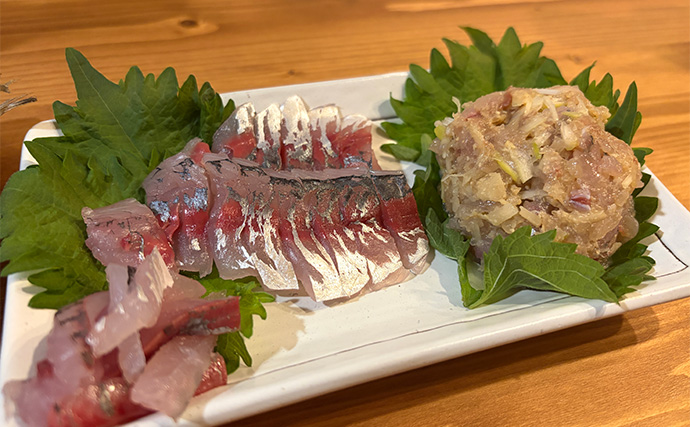 堤防サビキ釣りで25cm頭にアジ40匹手中！【福島】ぶっこみサビキで入れ食い満喫