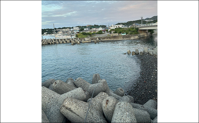 アジとメバルの「プランクトンパターン」を理解しよう　発生の条件とは？