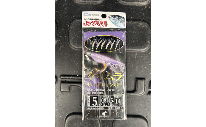 ヤエン釣りで1日中アオリイカがアタリっぱなし！【福井】水中はまだまだシーズン盛期？