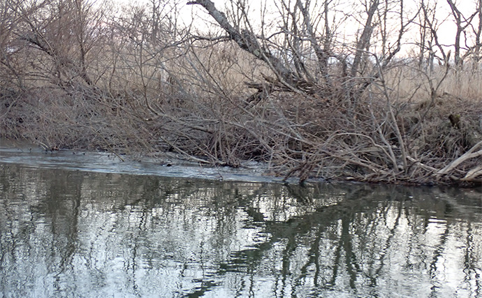 釧路湿原で「幻の魚」イトウを追う　静けさが支配する大自然をカヌーで進む