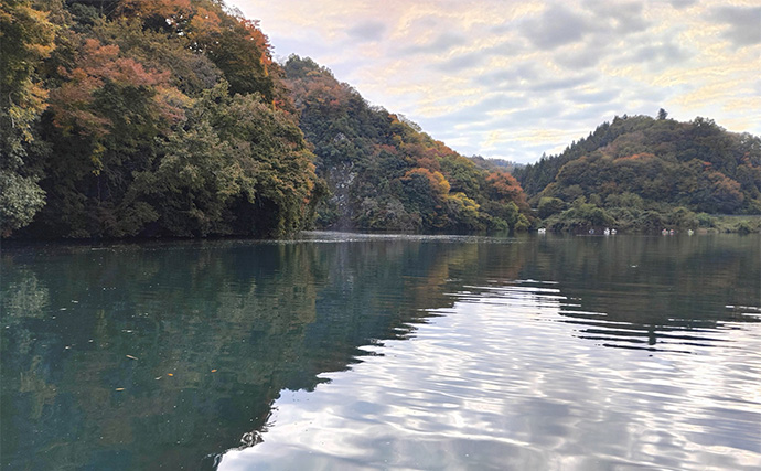相模湖のボートワカサギ釣りで213尾手中！【神奈川】仕掛け変更と拾い釣り戦略が奏功