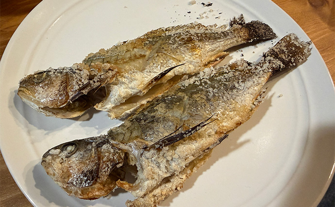 深夜のぶっこみサビキ釣りで想定外のイシモチが連発！　本命のアジは不発