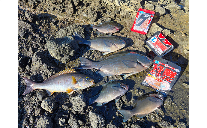 「第9回TFT関東・東レ懇親磯釣り大会IN下田」に参戦　強風に苦戦も37.5cmメジナを釣り上げる