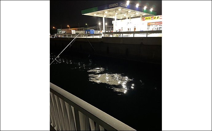 「アジが釣れる場所はココ！」 アジングで重点的に狙うべきポイント5選