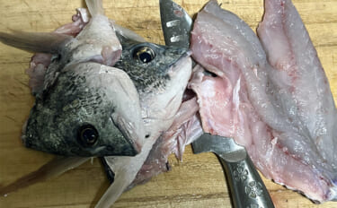 初めて釣った良型キビレで作る「鯛雑炊」レシピ　頑張って作ったのに味がし…