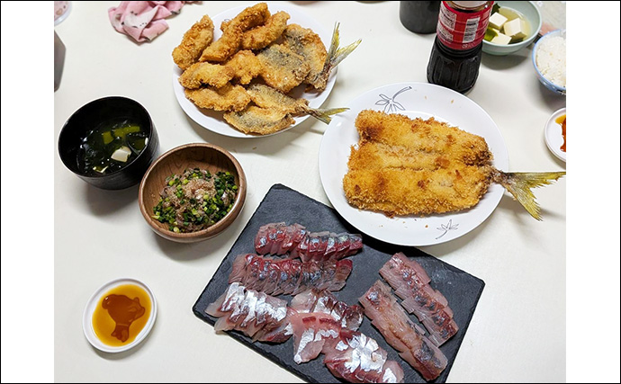 夜のコマセアジ船で40cm級ギガアジ釣れた！【静岡・焼津】想定外のオオスジハタも好捕