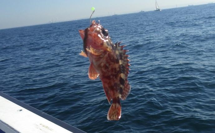 東京湾・船イシモチ釣りで本命19匹【神奈川・鴨下丸】ゲストのシロギスに苦戦？