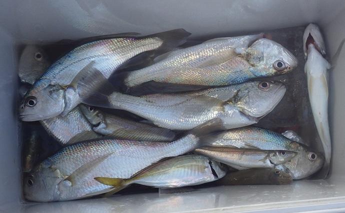 東京湾・船イシモチ釣りで本命19匹【神奈川・鴨下丸】ゲストのシロギスに苦戦？