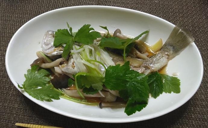 東京湾・船イシモチ釣りで本命19匹【神奈川・鴨下丸】ゲストのシロギスに苦戦？