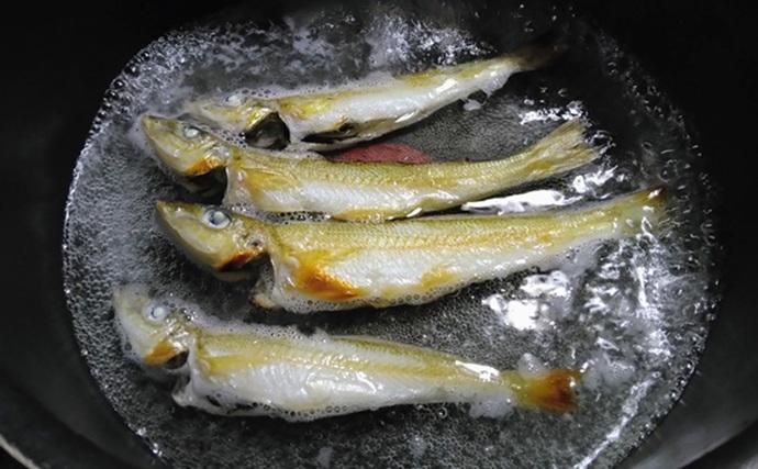 東京湾・船イシモチ釣りで本命19匹【神奈川・鴨下丸】ゲストのシロギスに苦戦？