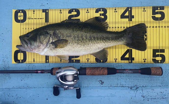 バス釣りのロッドがフォアグリップレス構造になっている理由　長所と短所は？