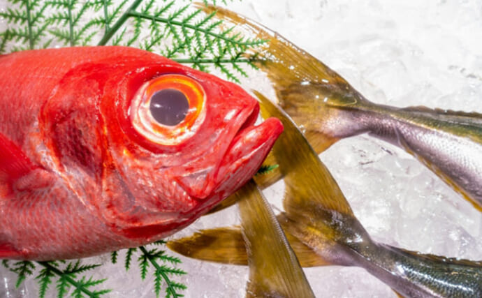 美味しい『キンメダイ』の見分け方は赤色の鮮やかさ？　高い栄養価と優れた健康効果もあり