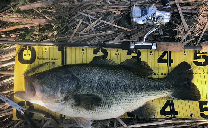 バス釣りのロッドがフォアグリップレス構造になっている理由　長所と短所は？