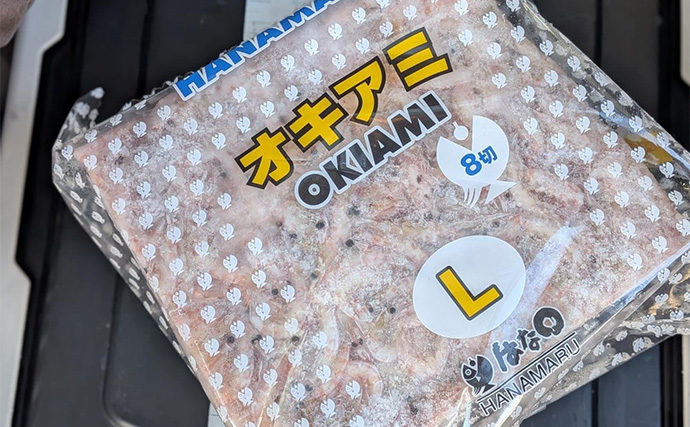 夜のコマセアジ船で40cm級ギガアジ釣れた！【静岡・焼津】想定外のオオスジハタも好捕