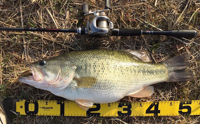 あたり前に使ってるけど意外と知らない【SICリングのメリット・デメリット】