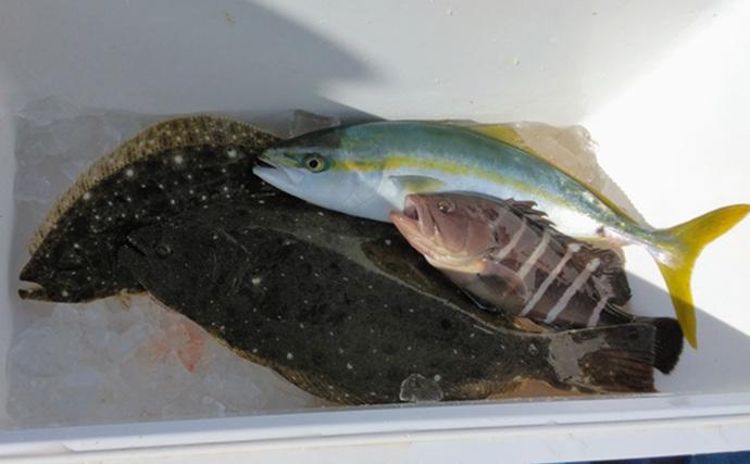 部分解禁の鹿島沖ヒラメ釣りでトップ7匹！【大春丸】ゲストにマハタとイナダ