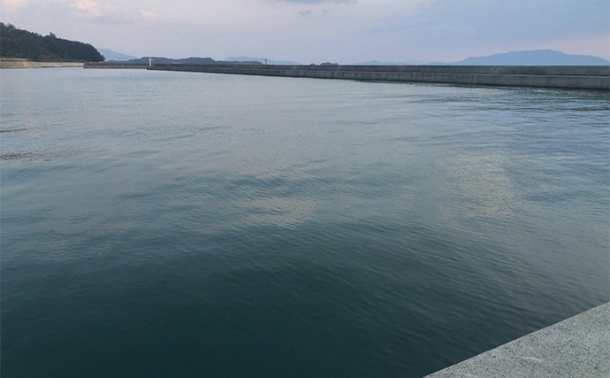 陸っぱりフラットゲームで56cm頭にヒラメ2枚！【瀬戸内】本格シーズン到来の予感