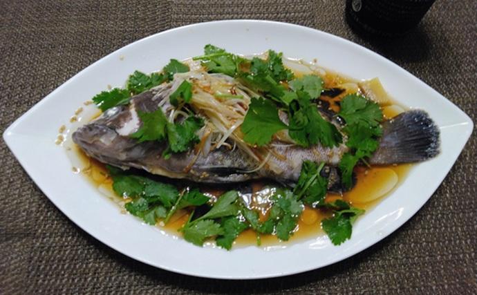 部分解禁の鹿島沖ヒラメ釣りでトップ7匹！【大春丸】ゲストにマハタとイナダ