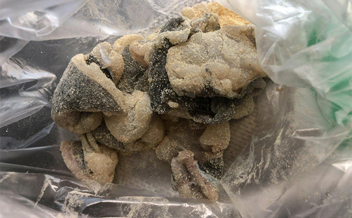 「捨てるのは勿体ない！」 美味魚で知られるヒラメは皮の唐揚げがめちゃくちゃ美味しい